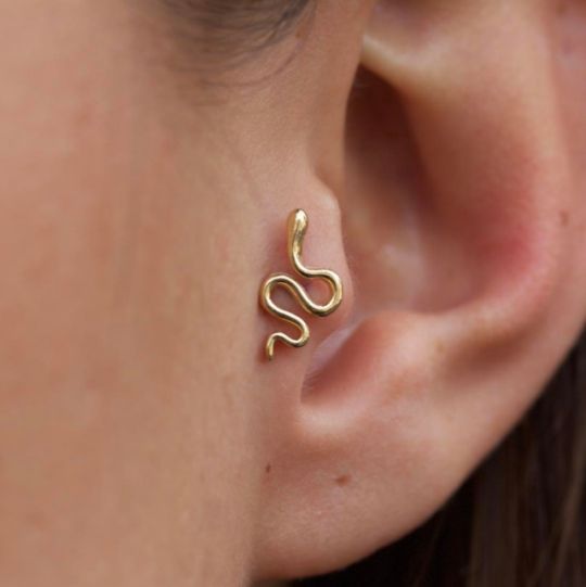 Snake Tragus