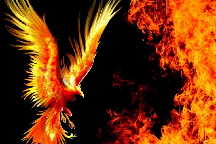 Anka Kuşu Dövme Modelleri ve Anlamı 2024