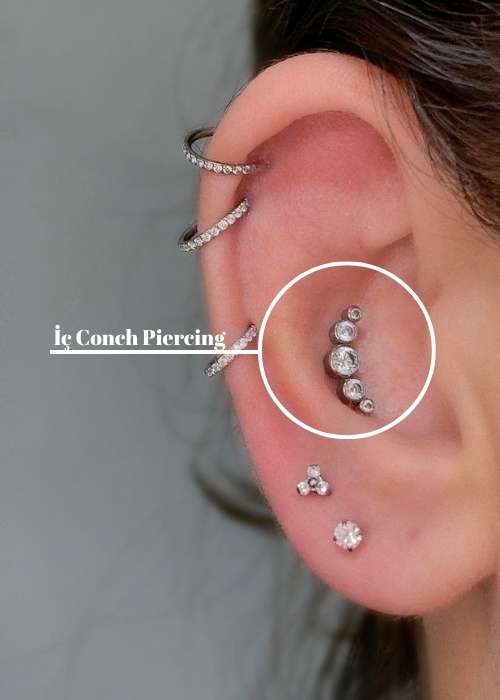 İç Conch Piercing